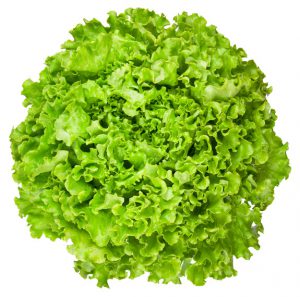 All About Lettuce : Types, Nutritional Value And Smoothies lettuce-looseleaf