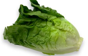 All About Lettuce : Types, Nutritional Value And Smoothies lettuce-romaine